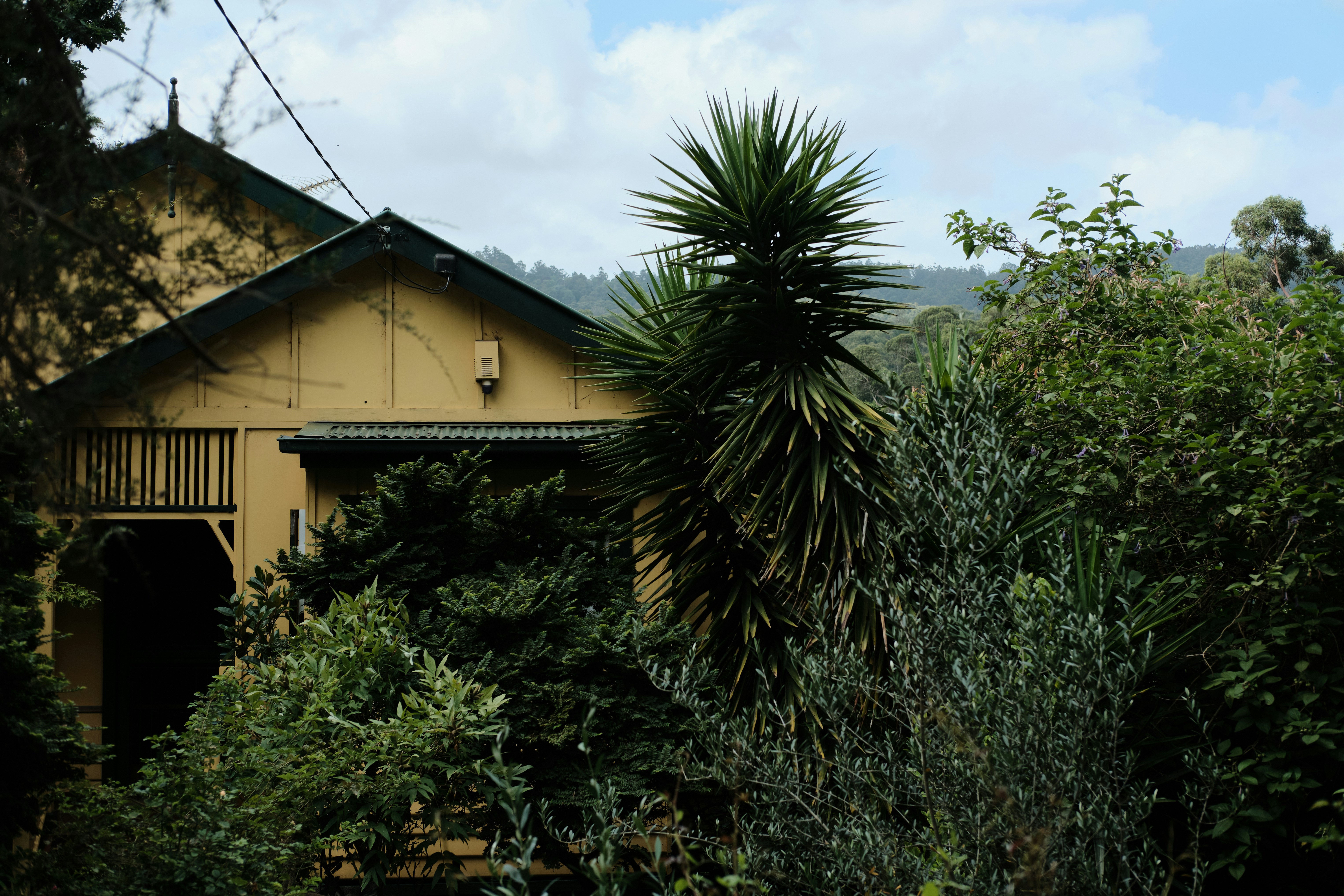 Bushfire Resistance